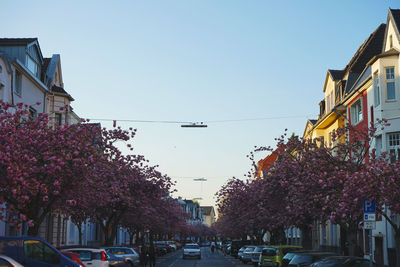 Cars on city street by buildings against sky