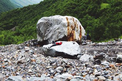 View of crab on rock