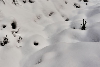 Snow on landscape during winter