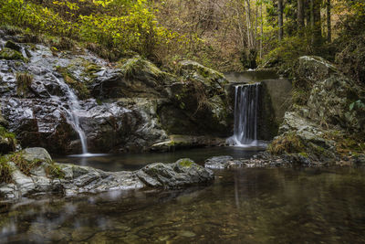 Waterfall in forest