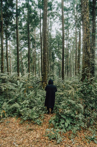 Rear view of woman standing by trees in forest