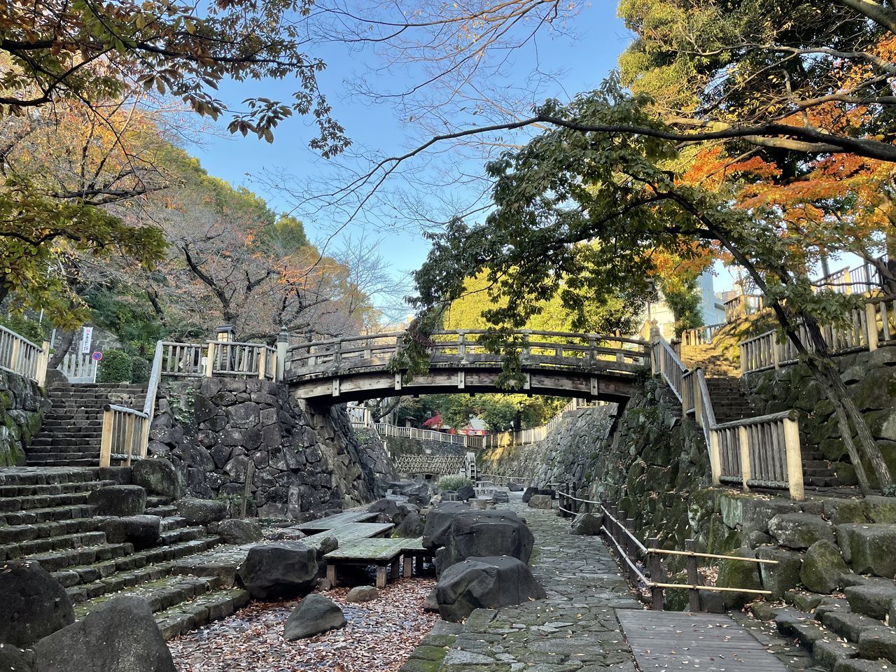 tree, architecture, plant, built structure, nature, day, no people, autumn, building exterior, staircase, outdoors, sky, building, history, the past, ruins, steps and staircases, branch