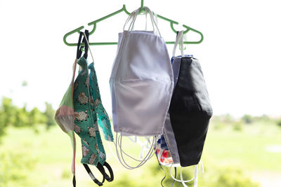 Close-up of clothes hanging on plant