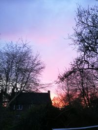 Low angle view of silhouette tree and building against sky