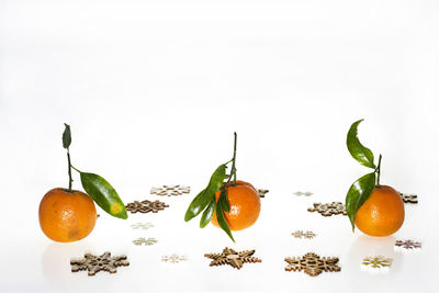 Close-up of orange fruits against white background