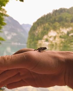 Human hand holding small mountain