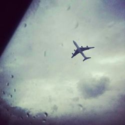 Low angle view of airplane flying in sky