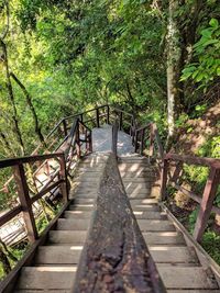 Footbridge in forest