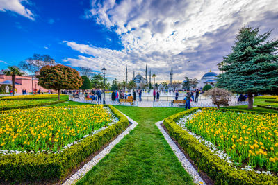 Scenic view of park by building against sky