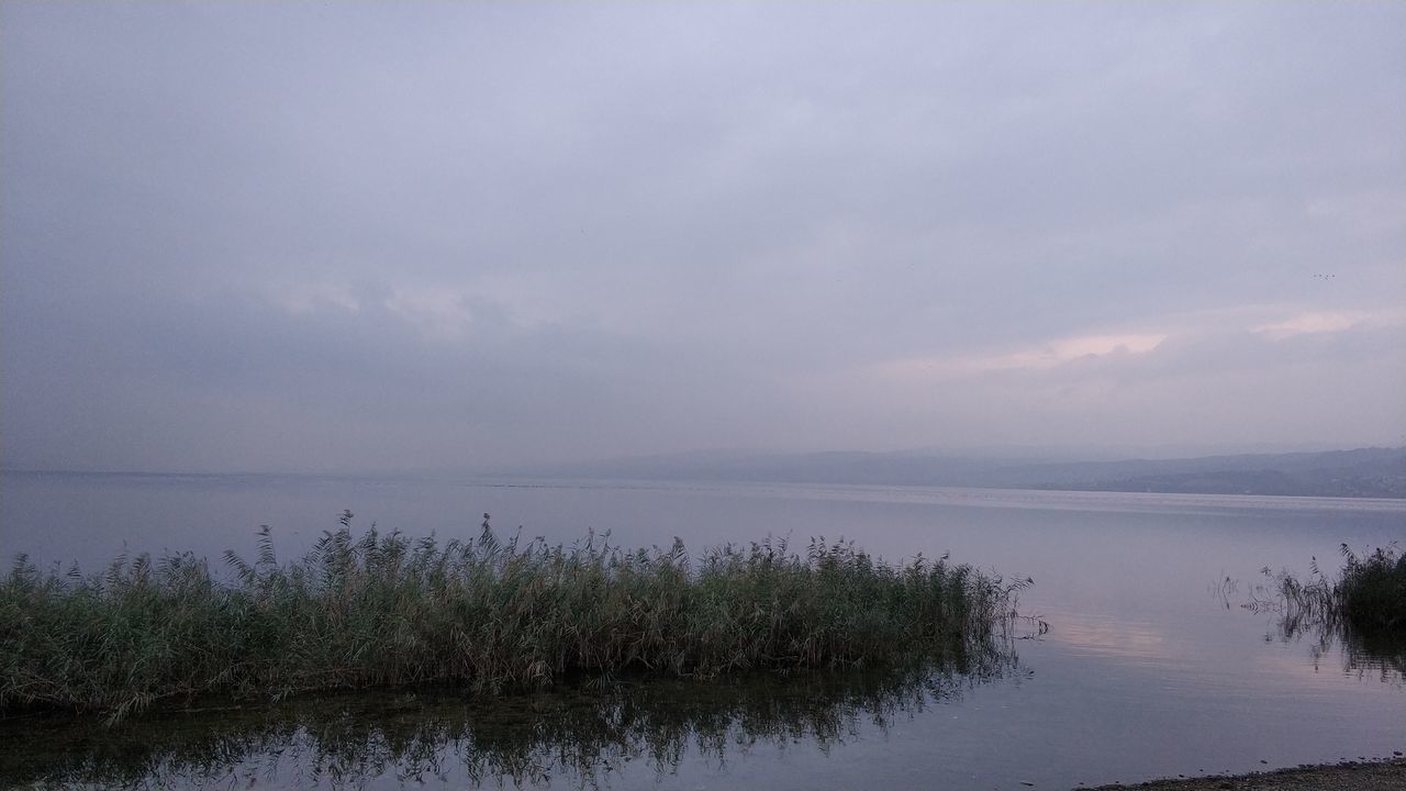 water, sky, tranquility, beauty in nature, scenics - nature, tranquil scene, cloud - sky, nature, non-urban scene, waterfront, sea, idyllic, no people, plant, day, outdoors, horizon over water