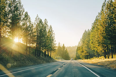 Road amidst trees against sky