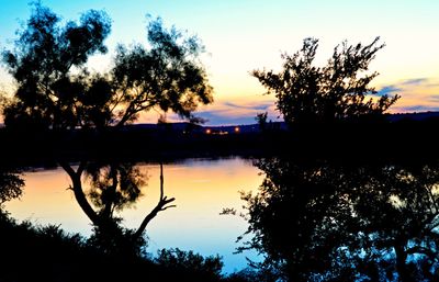 Silhouette of trees at sunset