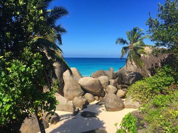 Scenic view of sea against clear sky