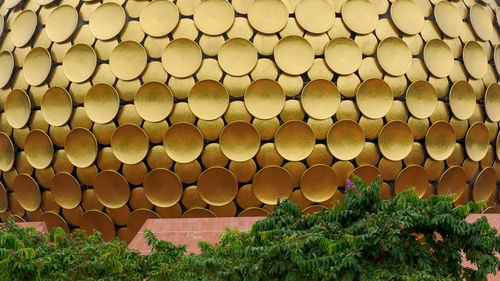 Full frame shot of logs in forest