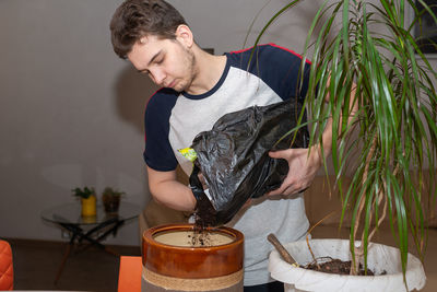 Young man transplanting a plant dracaena in fertile soil and new flowerpot. 