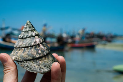 Cropped hand of person holding seashell by river against sky