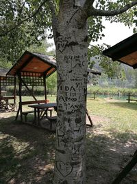 Tree trunk on field in park