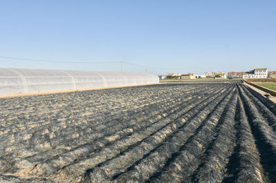 Scenic view of farm against clear sky