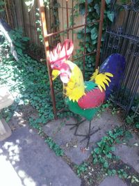 High angle view of yellow bird on plant