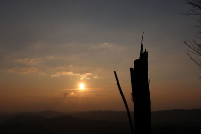 Silhouette plant on land against sky during sunset