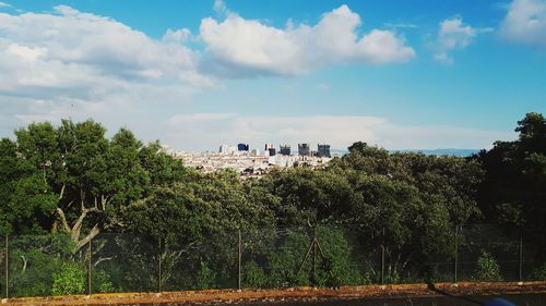 Plants growing on land against sky in city