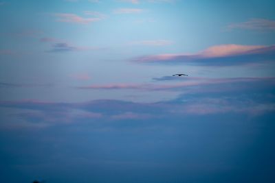 Low angle view of airplane flying in sky