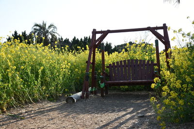 Scenic view of agricultural field against clear sky