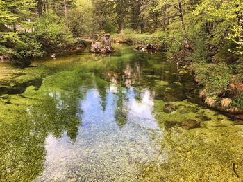 Reflection of trees in lake against sky