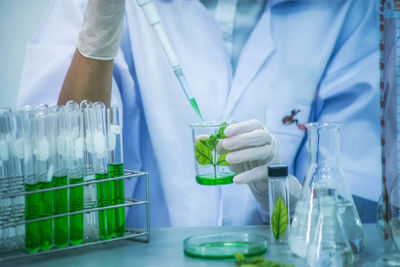 Cropped hand of scientist wearing surgical glove while working in laboratory