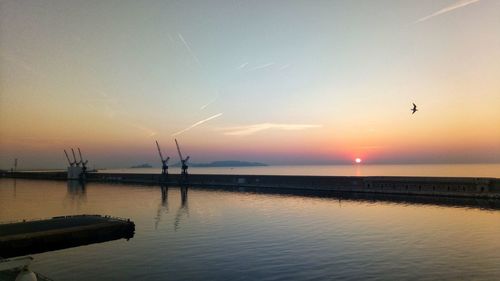 Silhouette birds on sea against sky during sunset