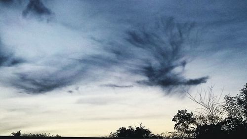 Low angle view of silhouette trees against sky