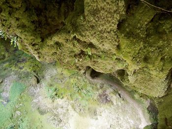 Close-up of rock formation in cave