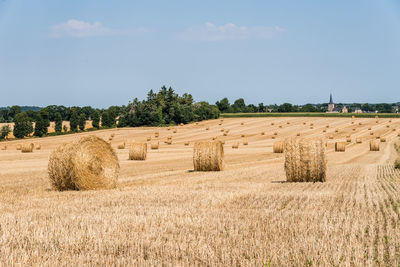 Field with hay bales after harvest in summer against blue sky