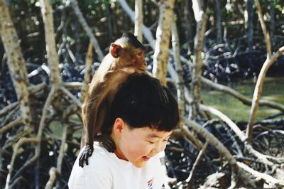 Close-up of monkey sitting on cute boy shoulder