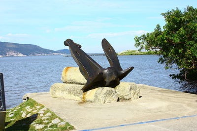 View of an animal on beach