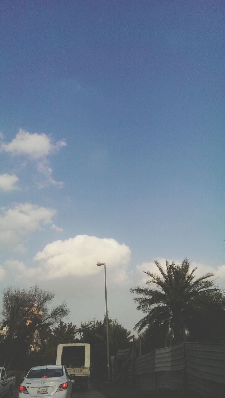 tree, sky, transportation, low angle view, palm tree, blue, street light, car, mode of transport, cloud - sky, land vehicle, road, nature, cloud, outdoors, day, copy space, no people, tranquility, street