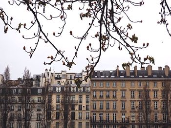Low angle view of buildings