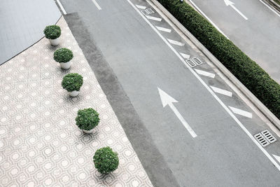 High angle view of potted plants on roadside