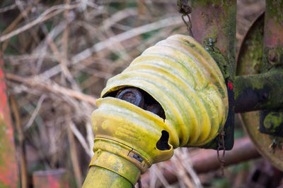 Torn yellow cuff of a drive joint