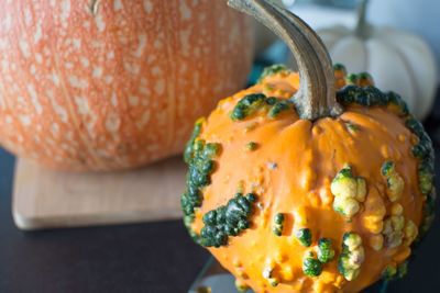 High angle view of pumpkin on table