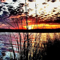 Sunset over lake