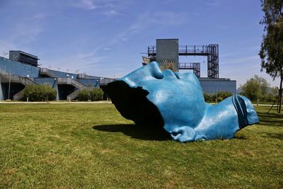 Trees on grassy field