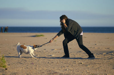 Dog on beach