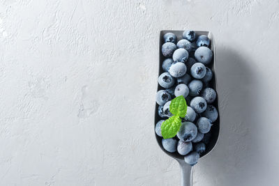 Directly above shot of fruit against white wall