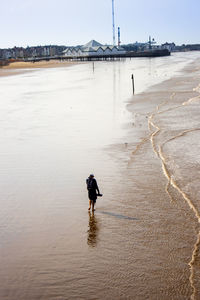 Rear view of man on beach against sky