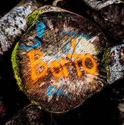 Close-up of butterfly on tree stump