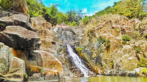 Low angle view of waterfall in forest