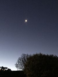 Low angle view of silhouette trees against sky at night