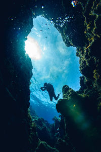 Low angle view of man swimming underwater