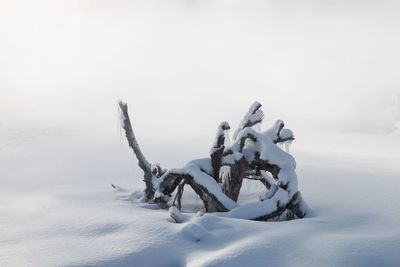 Snow covered land on field against sky